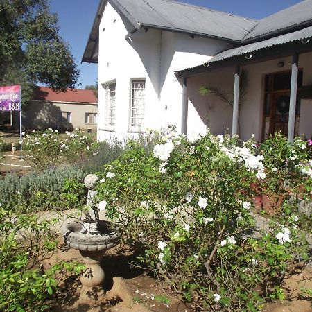 Bed and Breakfast Lavender Rose Bethulie Zewnętrze zdjęcie