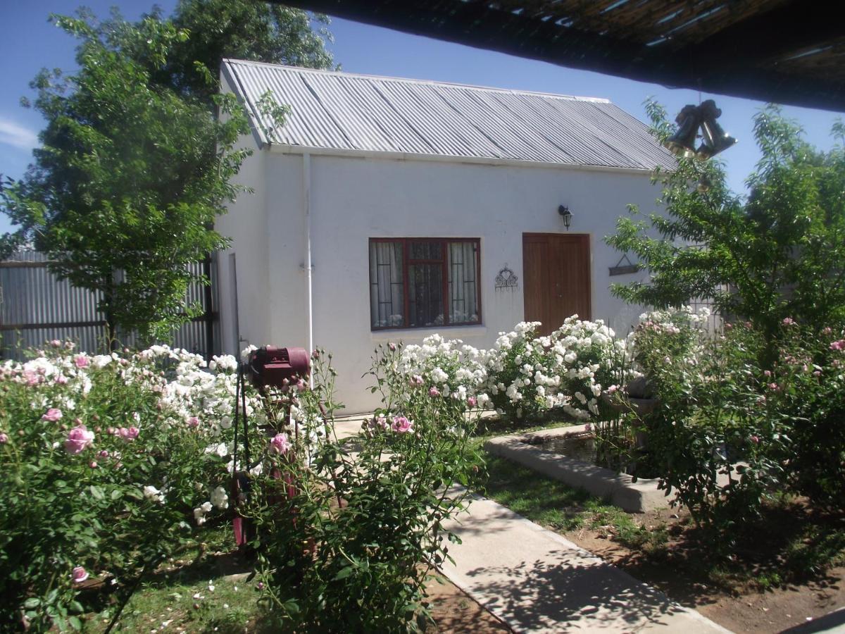 Bed and Breakfast Lavender Rose Bethulie Zewnętrze zdjęcie