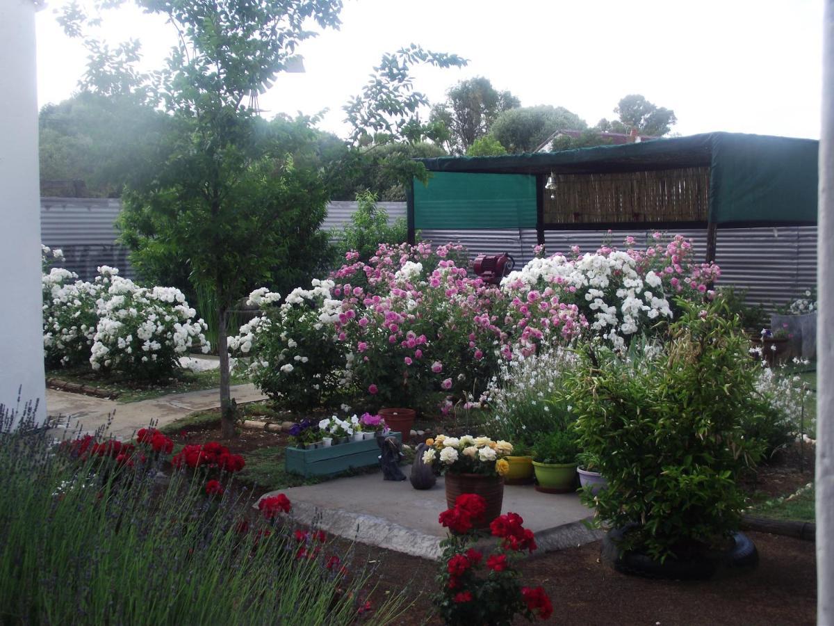 Bed and Breakfast Lavender Rose Bethulie Zewnętrze zdjęcie