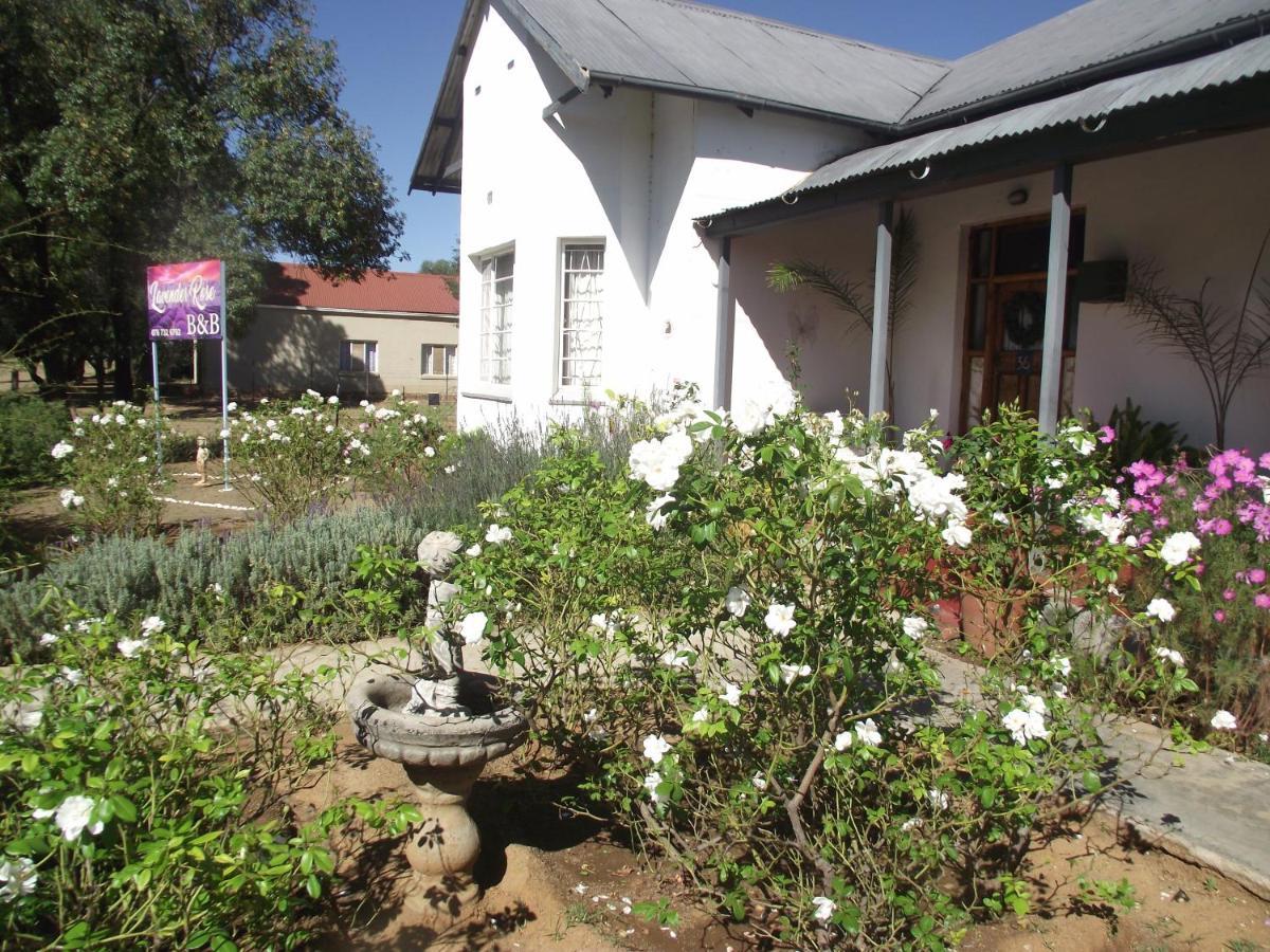Bed and Breakfast Lavender Rose Bethulie Zewnętrze zdjęcie