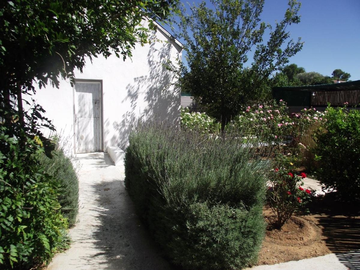 Bed and Breakfast Lavender Rose Bethulie Zewnętrze zdjęcie